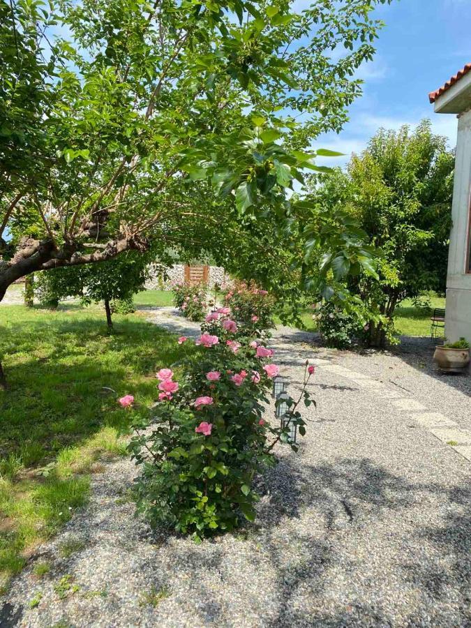 Kampus Luxury Villas Trikala  Luaran gambar