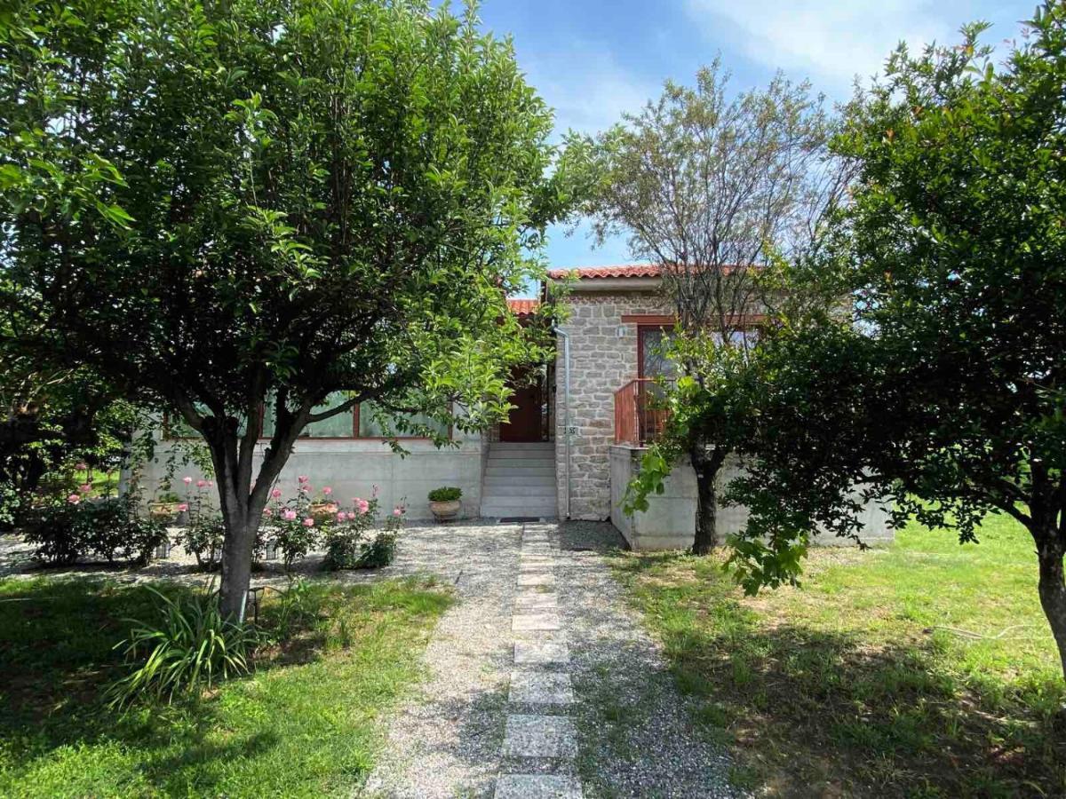 Kampus Luxury Villas Trikala  Luaran gambar
